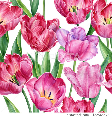 seamless watercolor pattern pink tulips, romantic floral design, hand-painted botanical illustration spring, art project 122563378