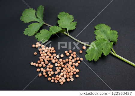 Cilantro and seeds Cilantro and seeds 122563427