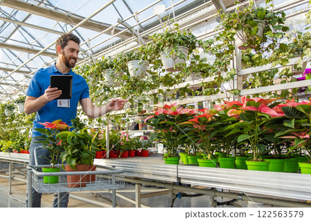 Salesman in flower shop arranging houseplants and greener for sale 122563579