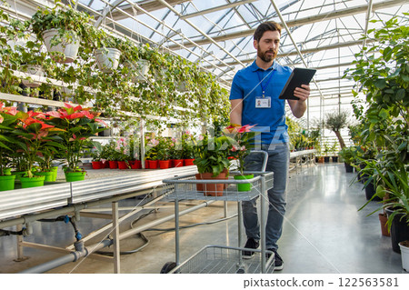 Male working in greenhouse arranging potted plants and flowers for sale in floriculture industry 122563581