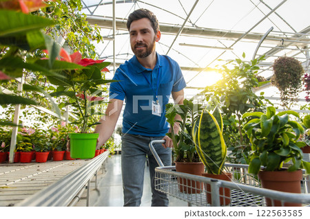 Positive adult florist arranging pots on display stand in gardening store 122563585