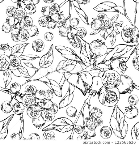 Blueberry blackberry with plant leaves, hand drawn in ink vector, forest berry in group clusters on branches. Seamless banner garland illustration, for restaurant, cafe menu, wedding, farmers market 122563620