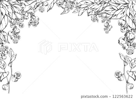 Blueberry blackberry cluster with plant leaves on branch, hand drawn in ink vector, ripe forest berry. Isolated corner frame botanical illustration for restaurant, cafe menu, wedding, farmers market Blueberry blackberry cluster with plant leaves on branch, hand drawn in ink vector, ripe forest berry. Isolated corner frame botanical illustration for restaurant, cafe menu, wedding, farmers market 122563622