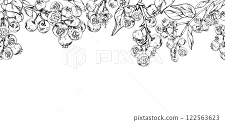 Blueberry blackberry with plant leaves, hand drawn in ink vector, forest berry in group clusters on branches. Seamless banner garland illustration, for restaurant, cafe menu, wedding, farmers market 122563623