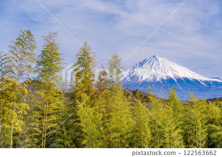 [靜岡縣]富士宮竹林外的富士山 122563662