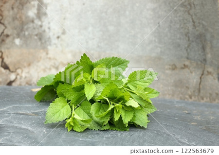 Bunch of fresh Melissa officinalis plant on the stone, commonly known as lemon balm or melissa. Bunch of fresh Melissa officinalis plant on the stone, commonly known as lemon balm or melissa. 122563679