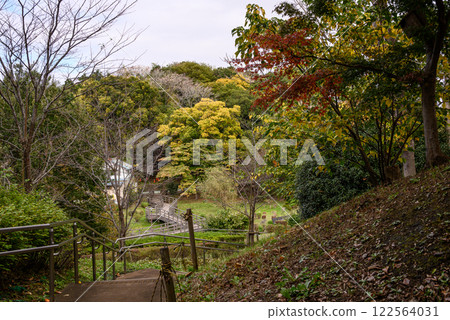 秋葉繽紛的山村風景 秋葉繽紛的山村風景 122564031