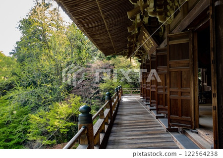 Buddhism. Wooden walkway in temple in Shosha hill. Mountain near Himeji. Japan 122564238