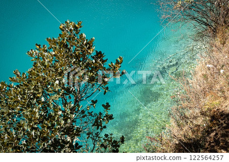 Blue Moon Lake over Lijiang with tree over pristine waters. Yunnan, China. 122564257