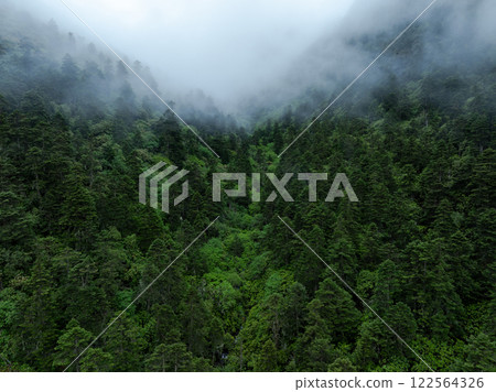 Aerial view of beautiful forest landscape 122564326