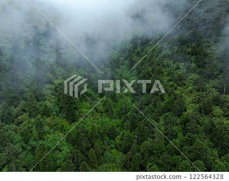 Aerial view of beautiful forest landscape Aerial view of beautiful forest landscape 122564328