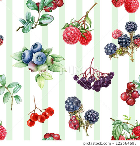 Hand drawn fresh berries seamless pattern on light-green striped background. Garden blueberry, raspberry, elderberry, blackberry vintage style illustration elegant seamless pattern design element Hand drawn fresh berries seamless pattern on light-green striped background. Garden blueberry, raspberry, elderberry, blackberry vintage style illustration elegant seamless pattern design element 122564695