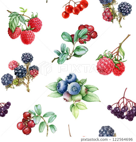 Hand drawn berries seamless pattern. Fresh blueberry, raspberry, blackberry, elderberry on white background. Different garden berries vintage style illustration bright seamless pattern design element Hand drawn berries seamless pattern. Fresh blueberry, raspberry, blackberry, elderberry on white background. Different garden berries vintage style illustration bright seamless pattern design element 122564696