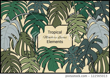 Leaves tropical exotic design element abstract texture aesthetic background 122565013
