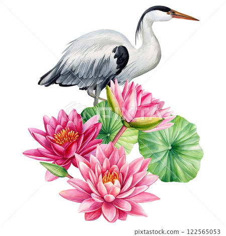 watercolor heron, lotus flowers, leaves. Elegant bird, serene nature scene, hand-painted botanical illustration isolated watercolor heron, lotus flowers, leaves. Elegant bird, serene nature scene, hand-painted botanical illustration isolated 122565053