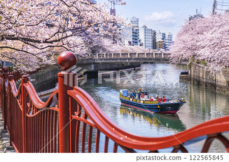 春天的橫濱街景：櫻花盛開的大岡川遊船【神奈川縣/橫濱市】 122565845
