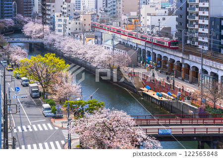 橫濱的春天街景：陽光燦爛、櫻花盛開的大岡川沿岸行駛的京急線 [神奈川縣橫濱市] 122565848