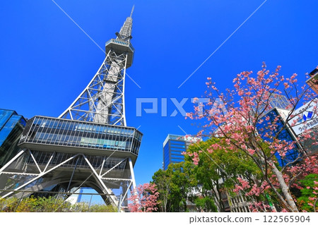 [愛知縣]名古屋電視塔和河津櫻花 122565904