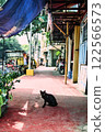 A cat I met in the Philippines 122566573