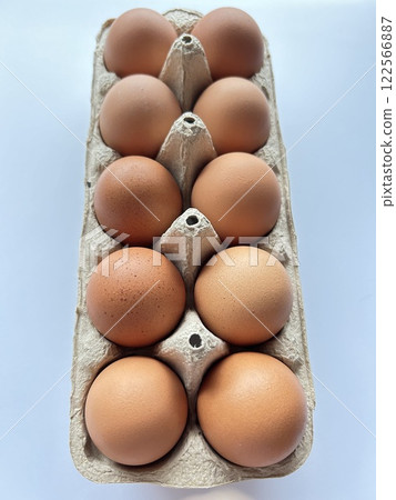 新鮮的雞蛋 新鮮的雞蛋 122566887