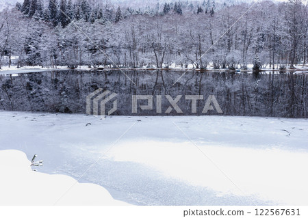 250202 比約蓋克茲002 122567631