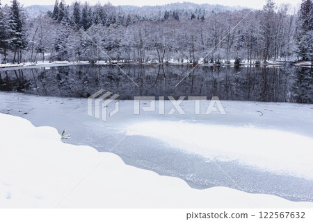 250202 比約蓋克茲003 122567632