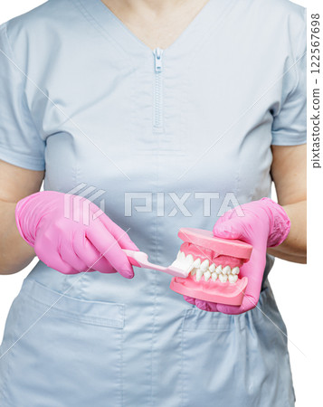 Dentist with a toothbrush and a layout of the human jaw. 122567698