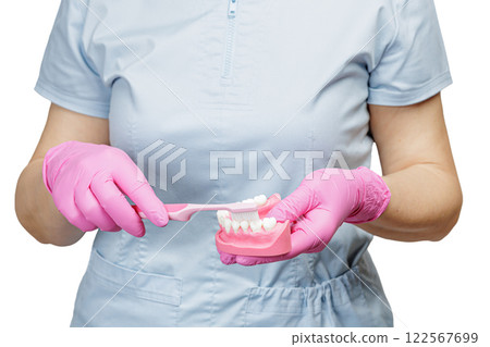 Dentist with a toothbrush and a layout of the human jaw. 122567699