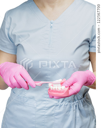 Dentist with a toothbrush and a layout of the human jaw. 122567700