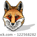 Fox Head as Colorful Illustration 122568282