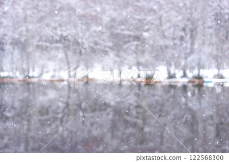 250202 Bijogaike Pond m065 122568300