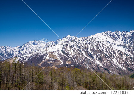 Hakuba Iwatake Snow Field 122568331