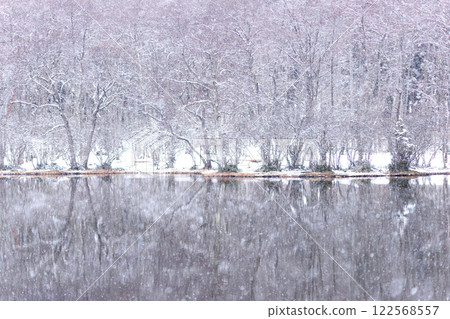 250202 美女池 m106 250202 美女池 m106 122568557