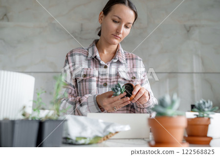 Plant transplantation. Transplanting houseplant, succulent in pot. In a bright kitchen, a woman skillfully repots various plants, showcasing her passion for gardening Plant transplantation. Transplanting houseplant, succulent in pot. In a bright kitchen, a woman skillfully repots various plants, showcasing her passion for gardening 122568825