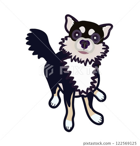 Black chihuahua illustration Black chihuahua illustration 122569125