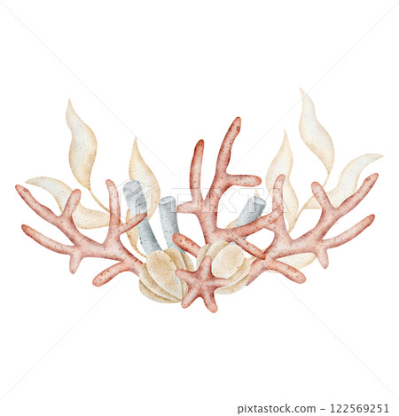 Watercolor seaweed, corals, tubes, shells. Marine illustrations are drawn by hand. Composition isolated on white background for design of postcards, posters, invitations, dishes, clothes 122569251