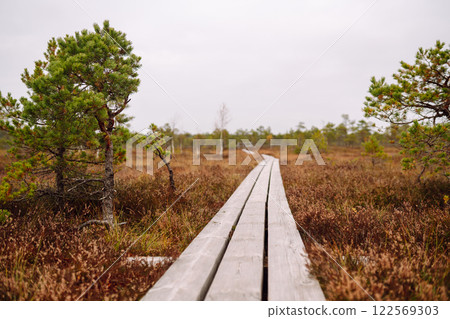 Wooden trail for walking routes through the swamp. Tourism concept, hiking trail, nature. Wooden trail for walking routes through the swamp. Tourism concept, hiking trail, nature. 122569303
