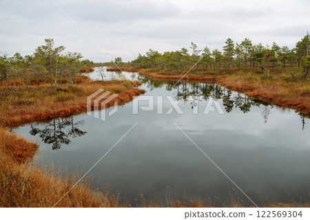 Wooden trail for walking routes through the swamp. Tourism concept, hiking trail, nature. 122569304
