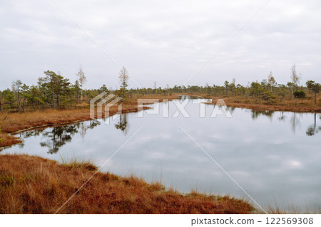 Wooden trail for walking routes through the swamp. Tourism concept, hiking trail, nature. Wooden trail for walking routes through the swamp. Tourism concept, hiking trail, nature. 122569308