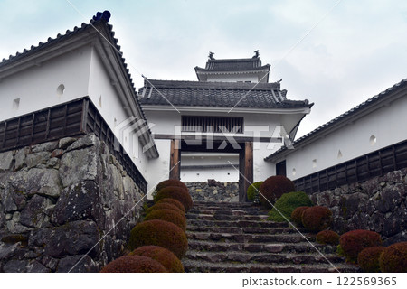 Gujo Hachimanjo城堡城堡門 Gujo Hachimanjo城堡城堡門 122569365
