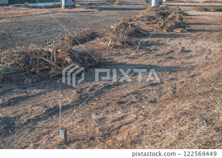 Tree felling on the riverbed Tree felling on the riverbed 122569449