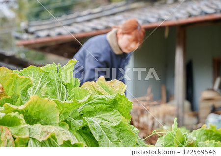 Woman working in the fields, country life, home garden Woman working in the fields, country life, home garden 122569546