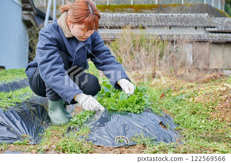Woman working in the fields, country life, home garden 122569566
