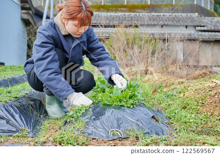Woman working in the fields, country life, home garden 122569567