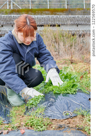 Woman working in the fields, country life, home garden Woman working in the fields, country life, home garden 122569570