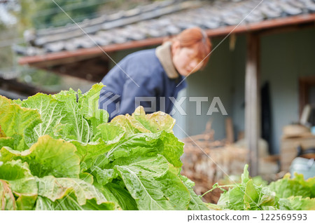 Woman working in the fields, country life, home garden 122569593