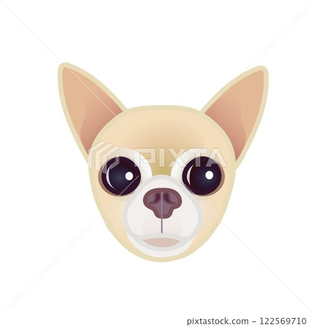 米色光滑的吉娃娃臉圖解 米色光滑的吉娃娃臉圖解 122569710