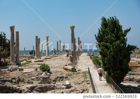 Tyre World Heritage Site with the Mediterranean Sea in the back. Lebanon Tyre World Heritage Site with the Mediterranean Sea in the back. Lebanon 122569928