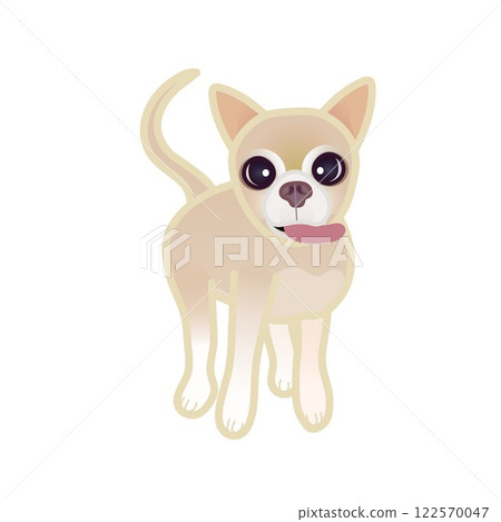 Beige smooth chihuahua illustration 122570047