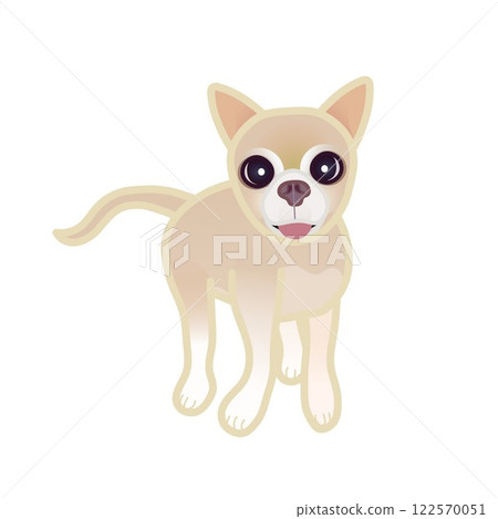 Beige smooth chihuahua illustration 122570051